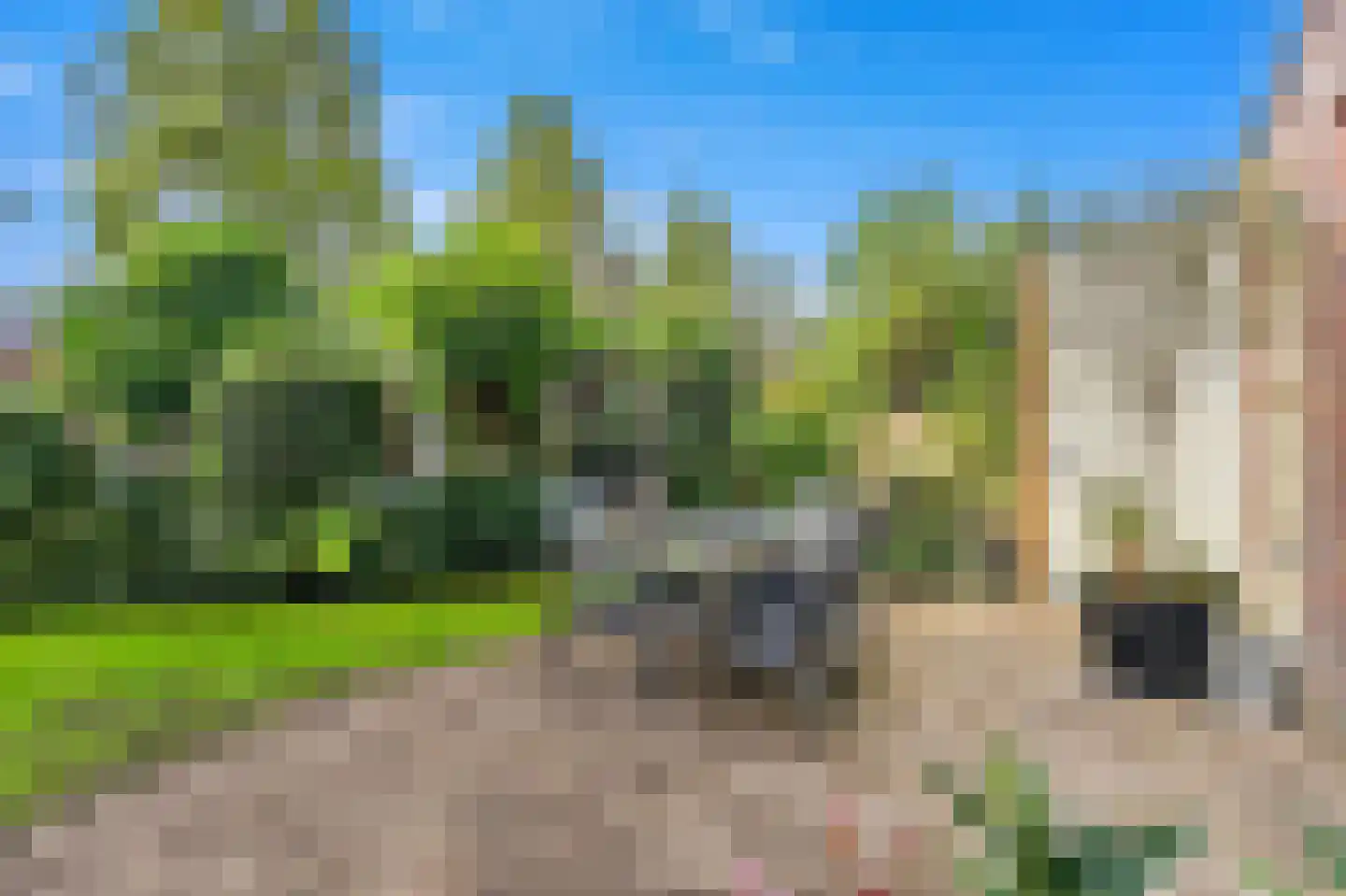 Vierlinghweg 73 Bergschenhoek thumbnail 19