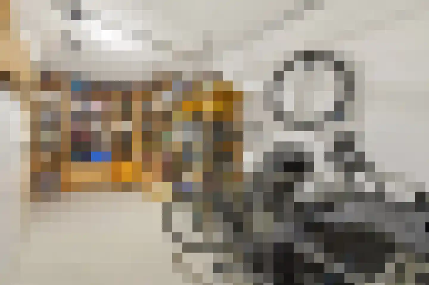 Vierlinghweg 73 Bergschenhoek thumbnail 30