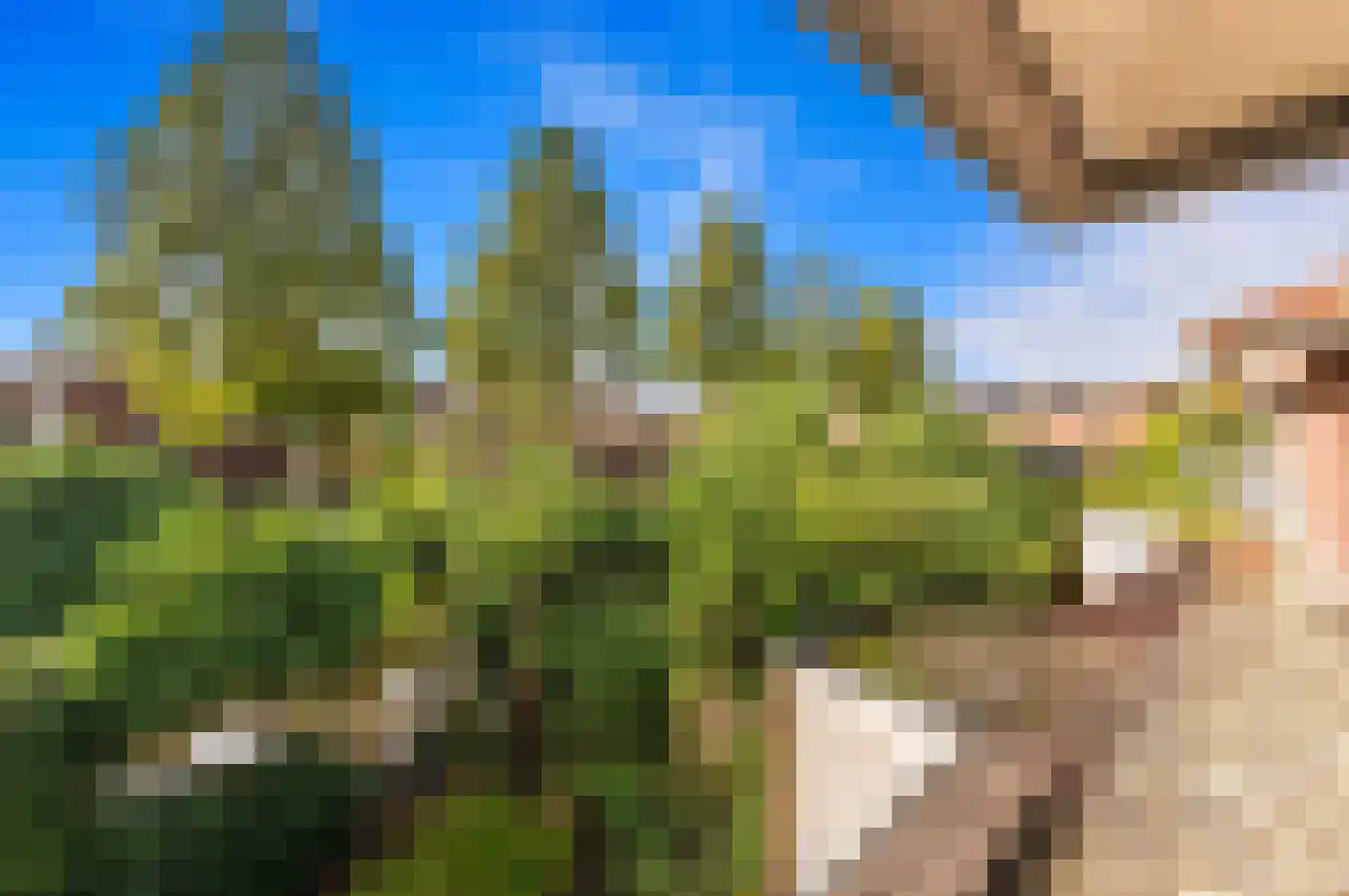 Vierlinghweg 73 Bergschenhoek thumbnail 46