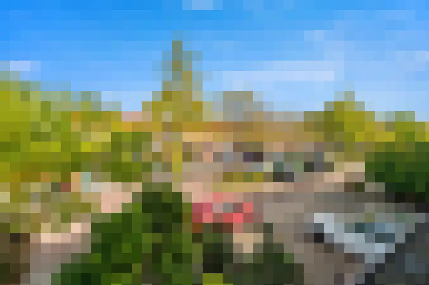 Vierlinghweg 73 Bergschenhoek thumbnail 49