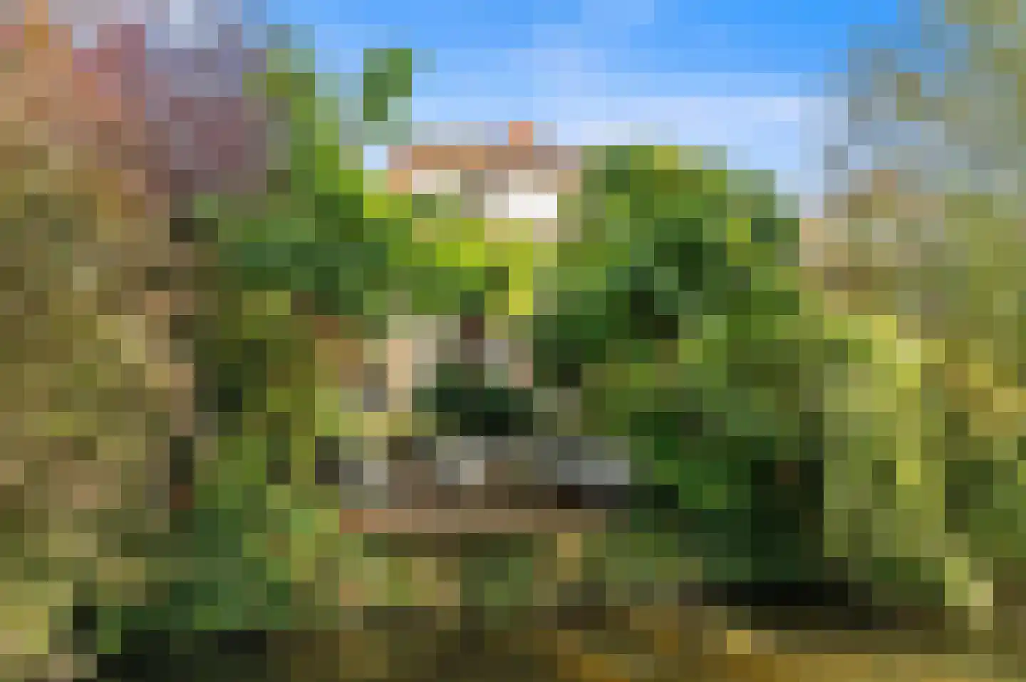 Vierlinghweg 73 Bergschenhoek thumbnail 5