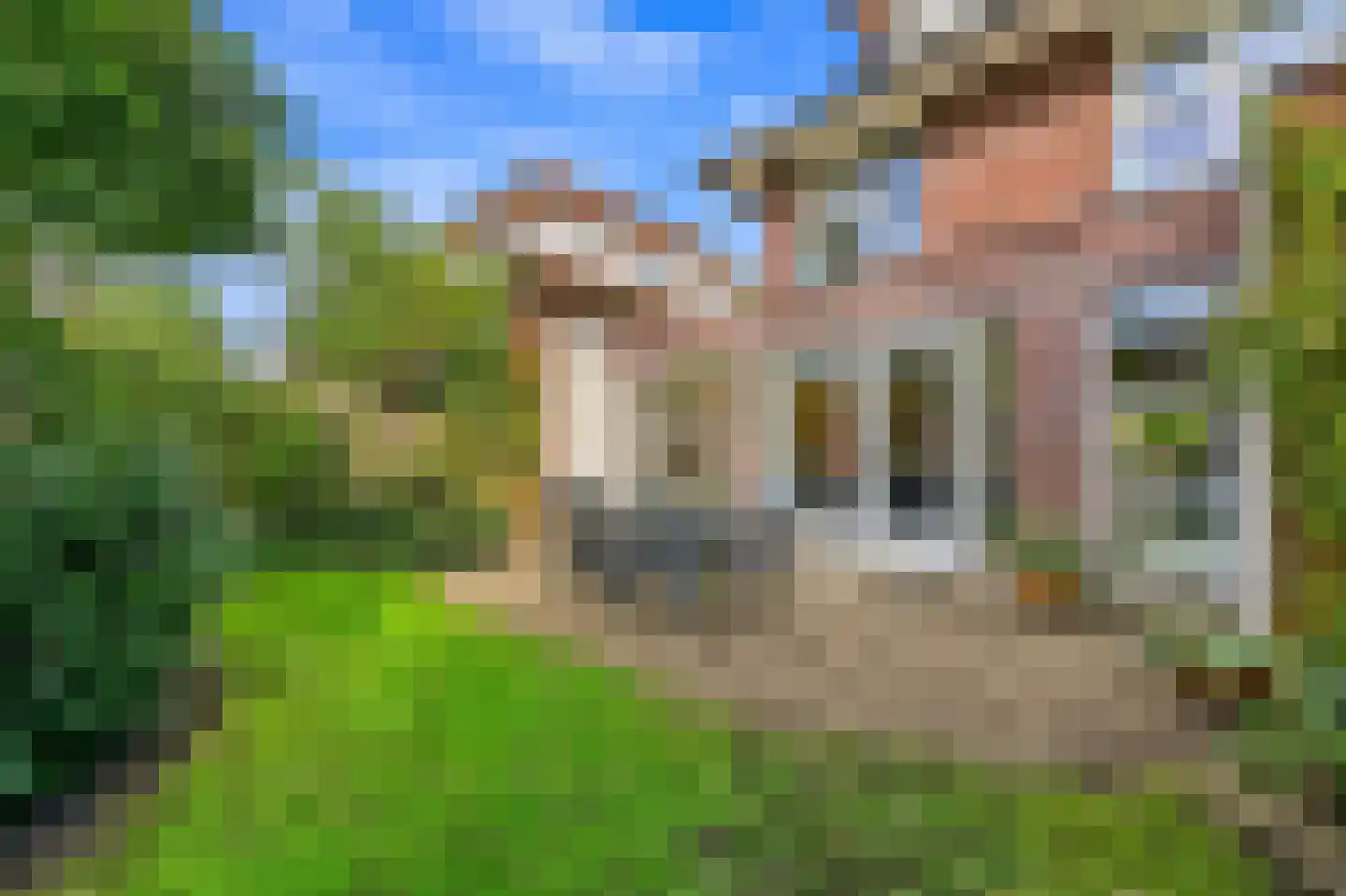 Vierlinghweg 73 Bergschenhoek thumbnail 7