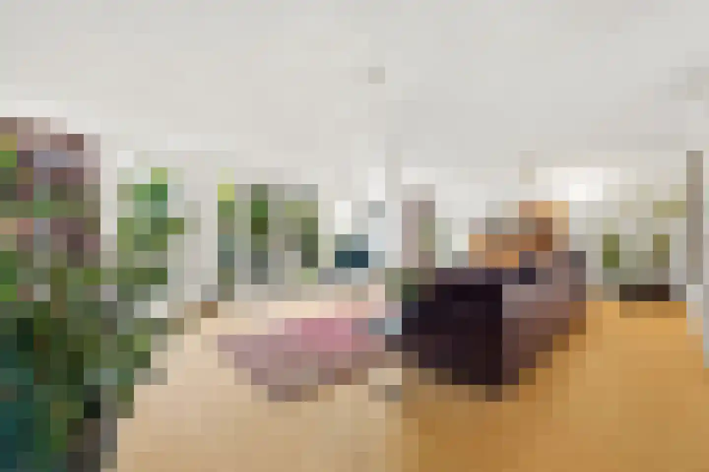 Vierlinghweg 73 Bergschenhoek thumbnail 8