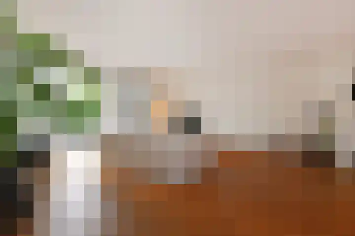 Vierlinghweg 79 Bergschenhoek thumbnail 25