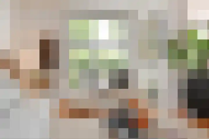 Vierlinghweg 79 Bergschenhoek thumbnail 32