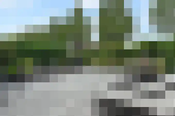 Vierlinghweg 79 Bergschenhoek thumbnail 35