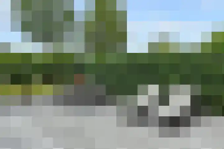 Vierlinghweg 79 Bergschenhoek thumbnail 37