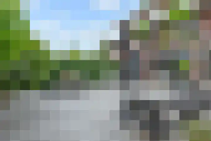 Vierlinghweg 79 Bergschenhoek thumbnail 38