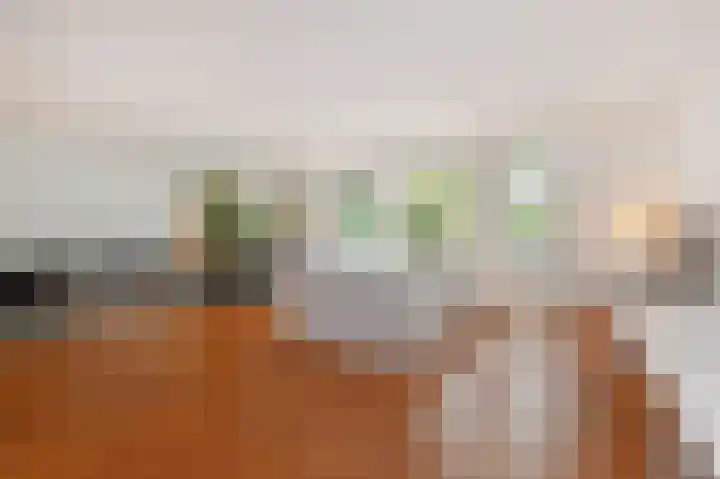 Vierlinghweg 79 Bergschenhoek thumbnail 4