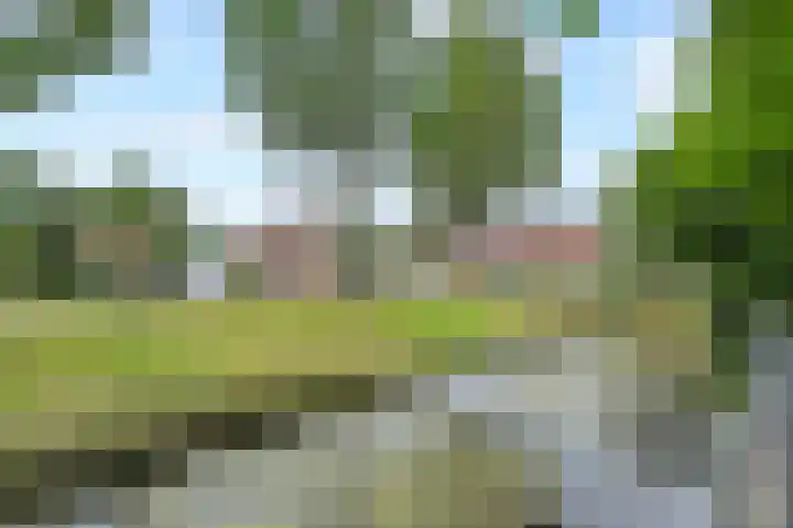 Vierlinghweg 79 Bergschenhoek thumbnail 40