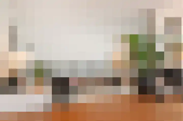 Vierlinghweg 79 Bergschenhoek thumbnail 5