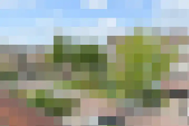 Vierlinghweg 79 Bergschenhoek thumbnail 62