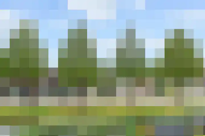 Vierlinghweg 79 Bergschenhoek thumbnail 63