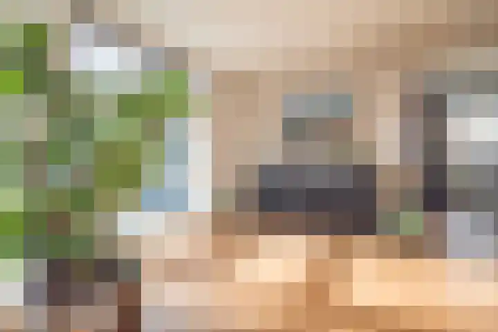 Vierlinghweg 81 Bergschenhoek thumbnail 17