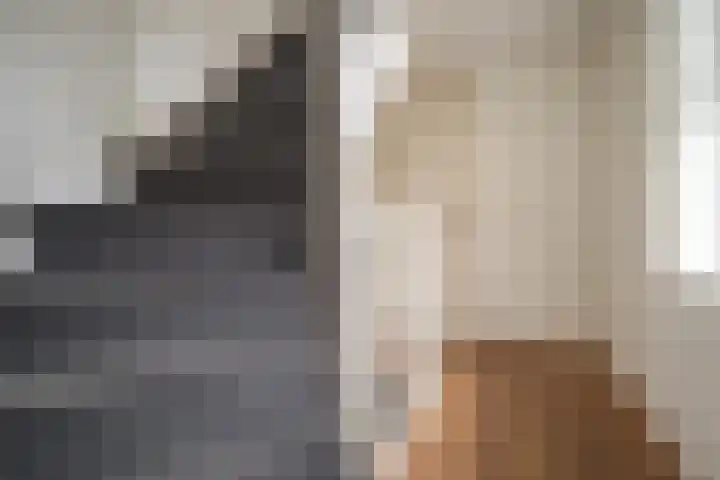 Vierlinghweg 81 Bergschenhoek thumbnail 31