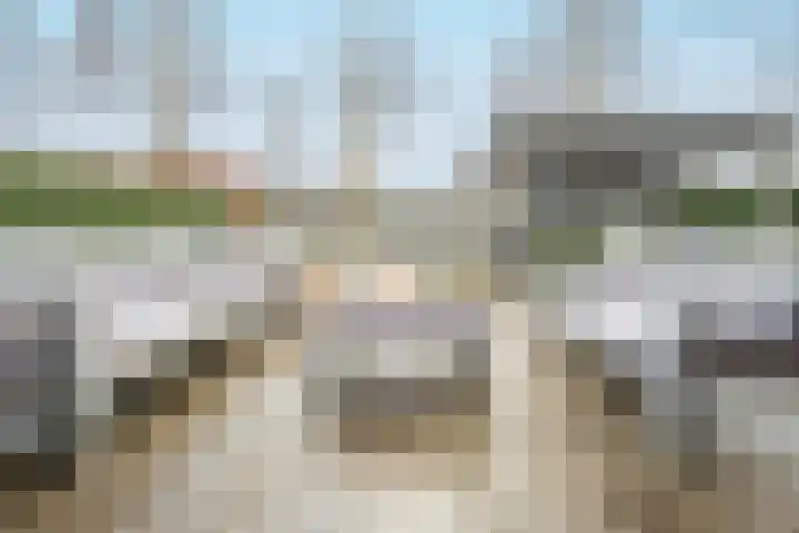 Vierlinghweg 81 Bergschenhoek thumbnail 38