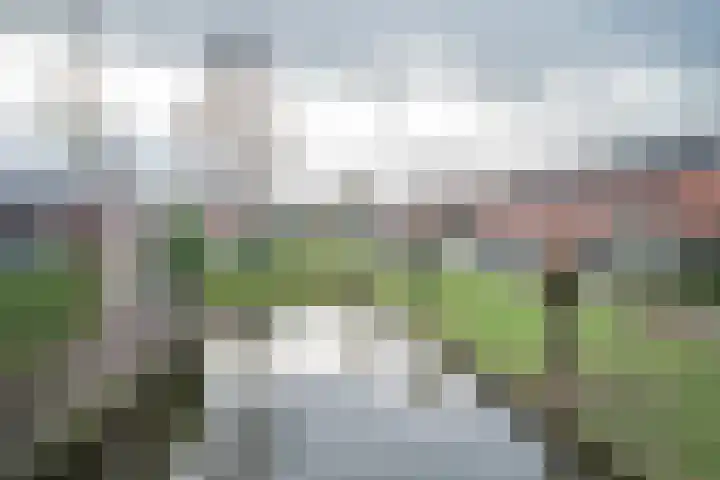Vierlinghweg 81 Bergschenhoek thumbnail 49