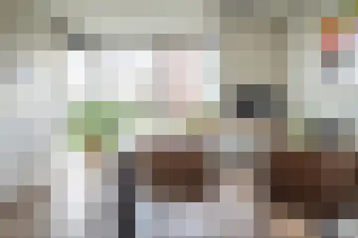 Vierlinghweg 81 Bergschenhoek thumbnail 8