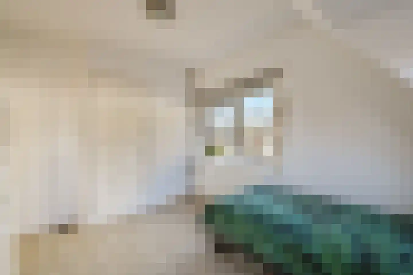 Vierlingsbeeklaan 54 Amstelveen thumbnail 18