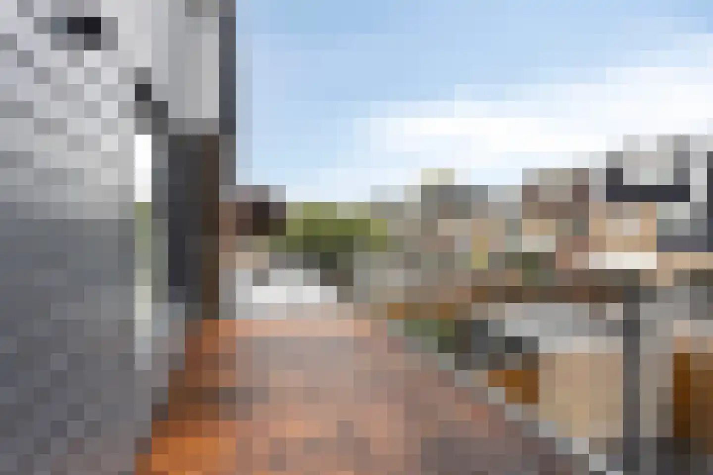 Vierlingsbeeklaan 63 Amstelveen thumbnail 16