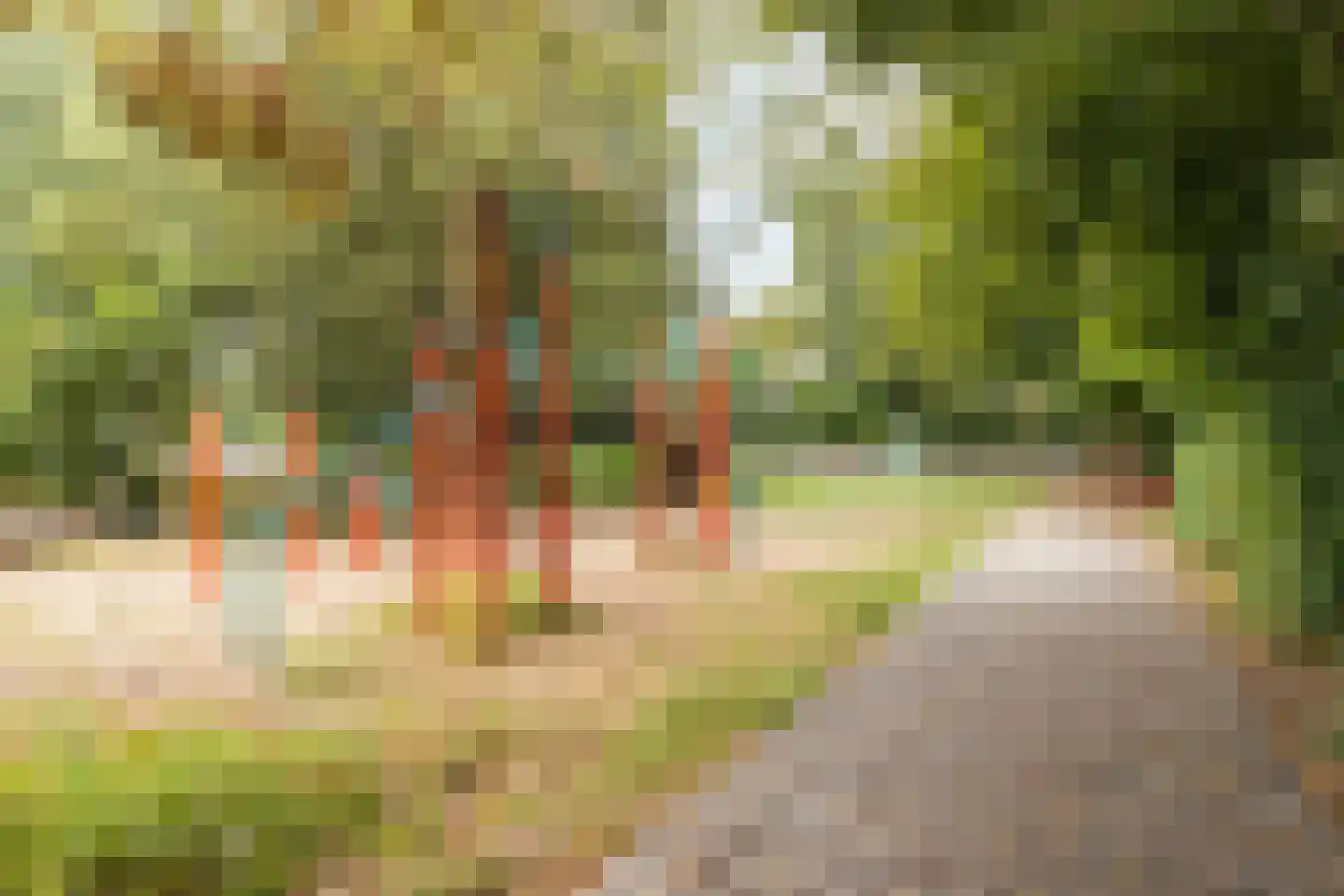 Vierlingsbeeklaan 63 Amstelveen thumbnail 39