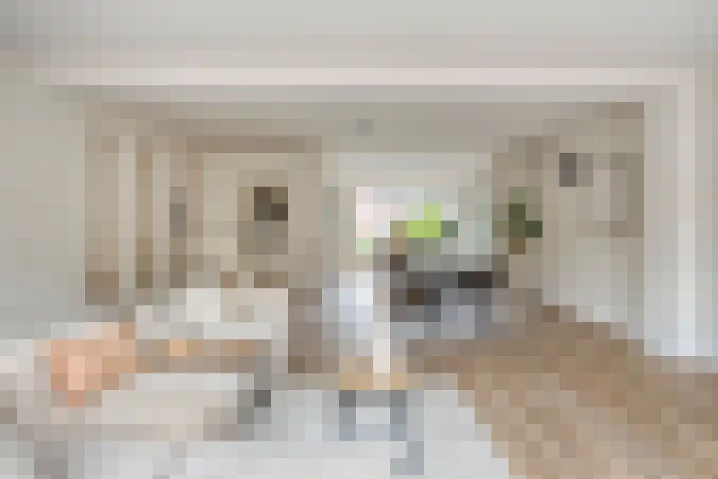 Vierlingsbeeklaan 63 Amstelveen thumbnail 8