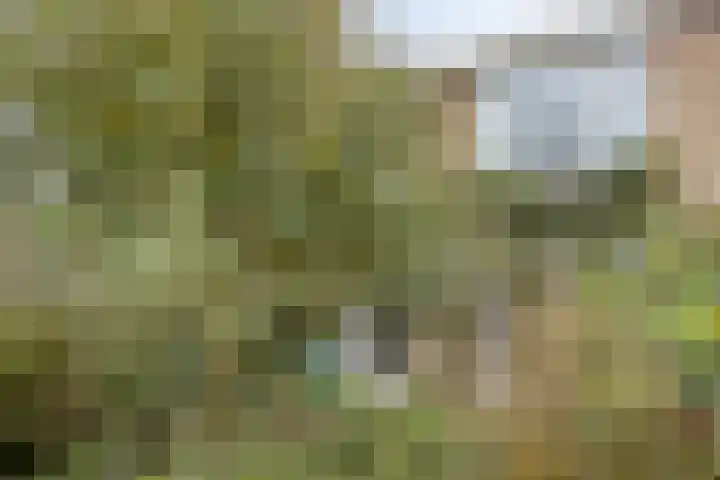 Vierlingsbeeklaan 64 Amstelveen thumbnail 14