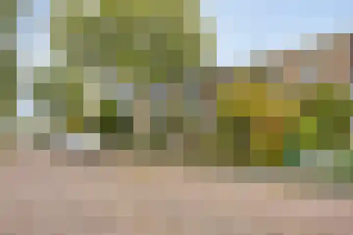 Vierlingsbeeklaan 64 Amstelveen thumbnail 15
