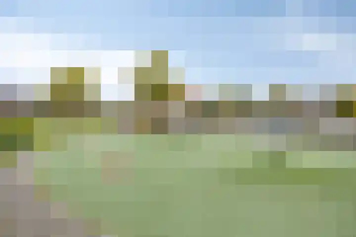 Vierlingsbeeklaan 64 Amstelveen thumbnail 17