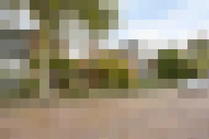 Vierlingsbeeklaan 64 Amstelveen thumbnail 18