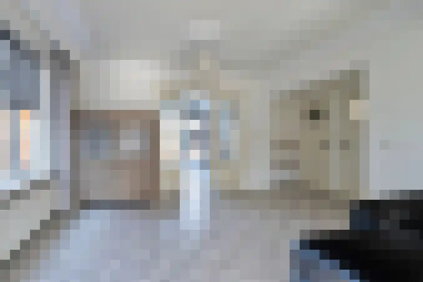 Vierlingsbeekseweg 25 Overloon thumbnail 13