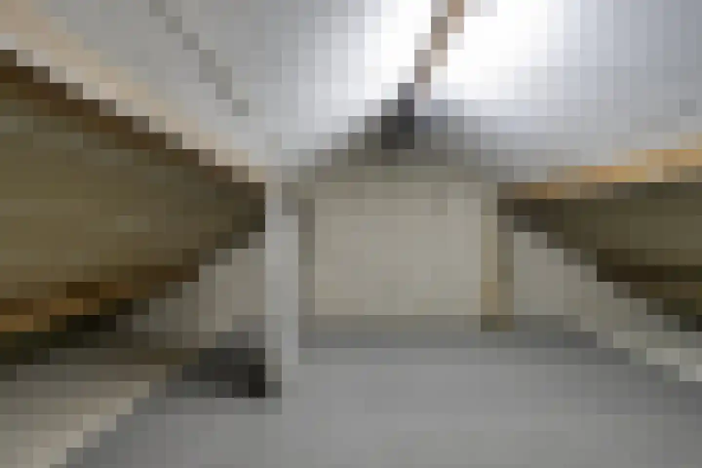 Vierlingsbeekseweg 25 Overloon thumbnail 36