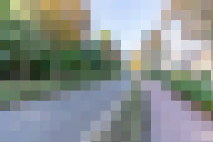 Vierlingsbeekseweg 45 Overloon thumbnail 4