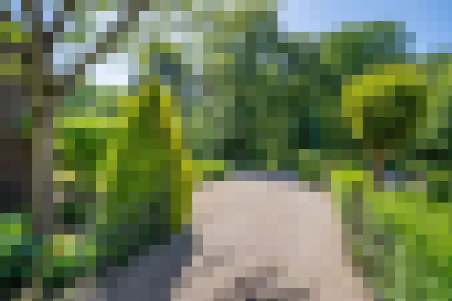 Vierlingsbeekseweg 55 Overloon thumbnail 7