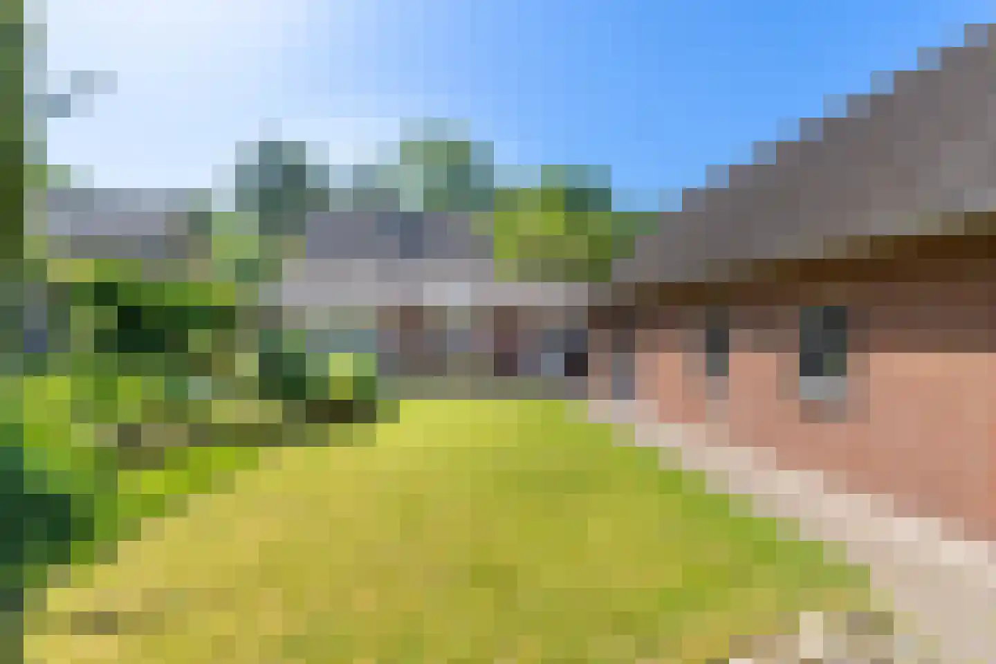 Vierlingsbeekseweg 55 Overloon thumbnail 8