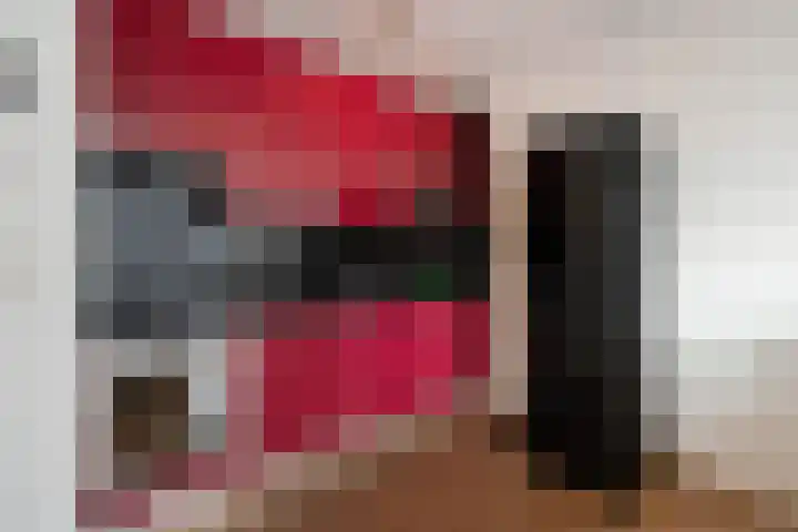 Vierloper 1 Den Haag thumbnail 10