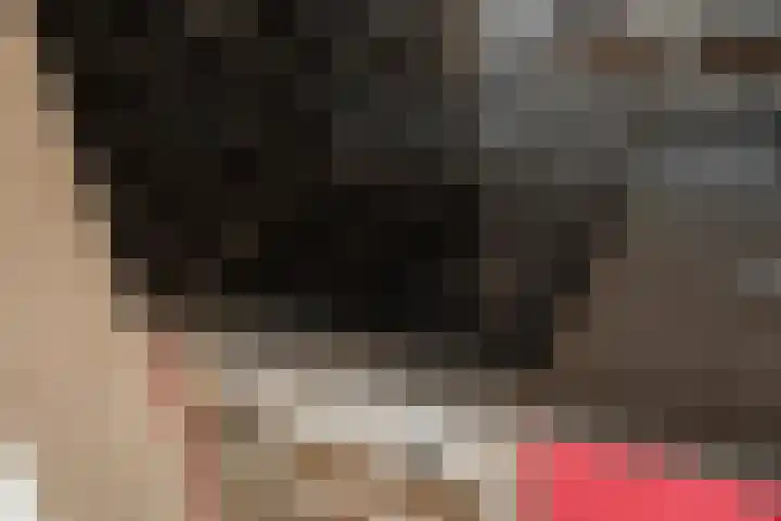 Vierloper 1 Den Haag thumbnail 11