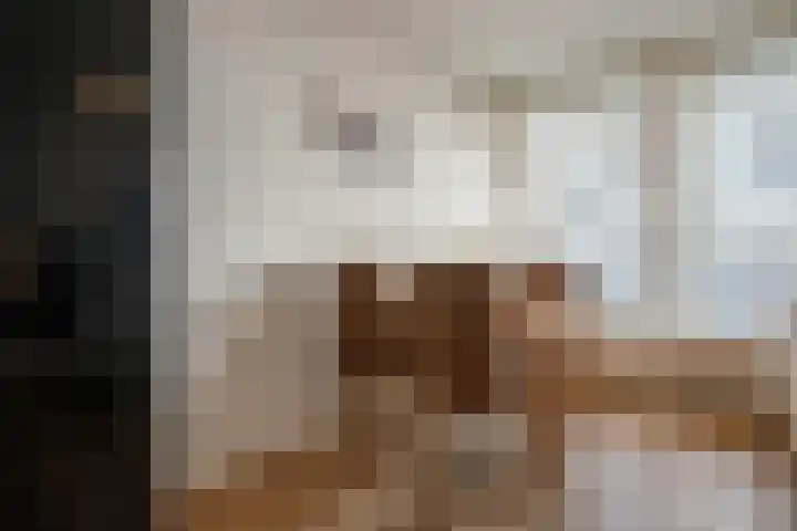 Vierloper 1 Den Haag thumbnail 12