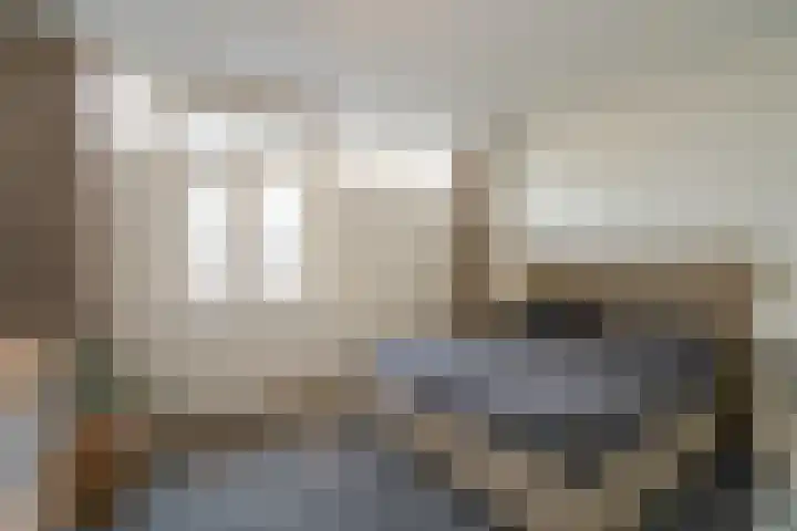 Vierloper 1 Den Haag thumbnail 13