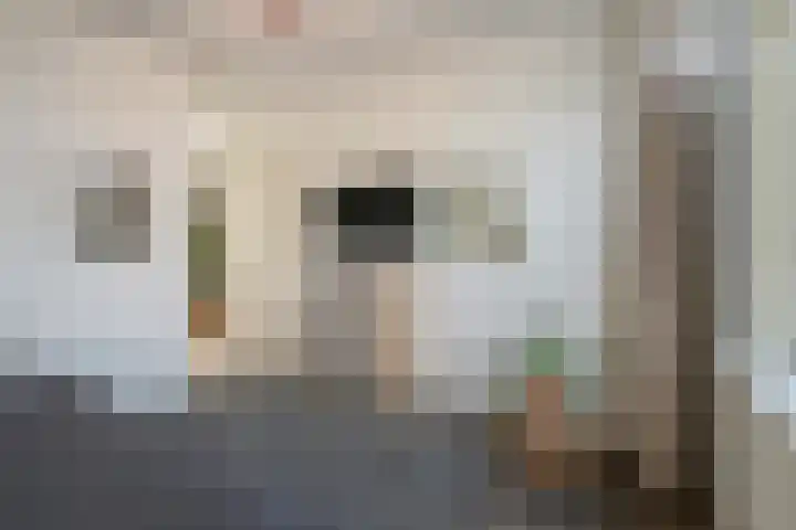 Vierloper 1 Den Haag thumbnail 14