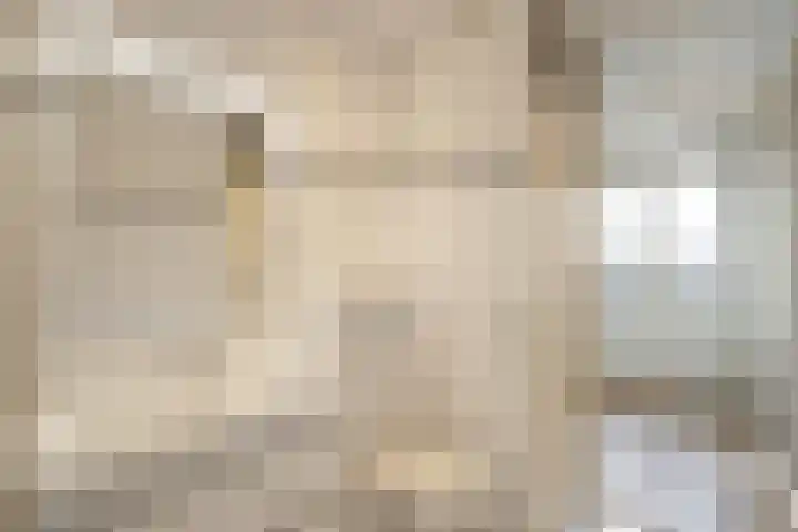 Vierloper 1 Den Haag thumbnail 16