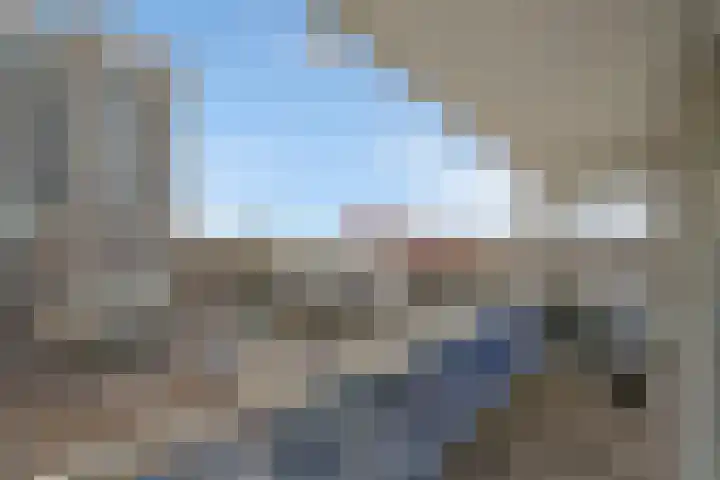 Vierloper 1 Den Haag thumbnail 17