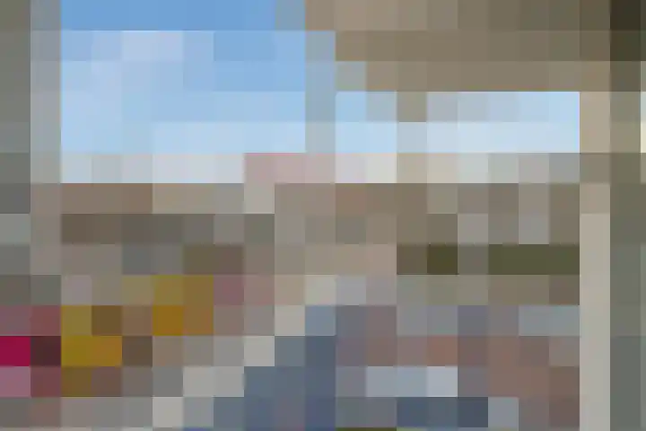 Vierloper 1 Den Haag thumbnail 19
