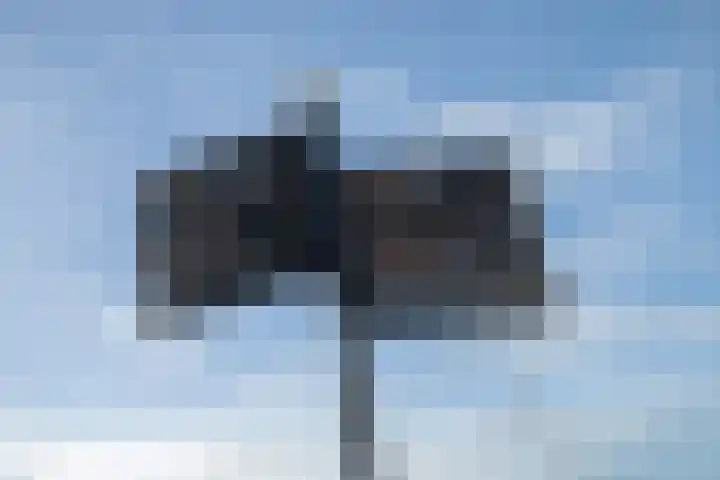 Vierloper 1 Den Haag thumbnail 20