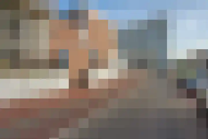 Vierloper 1 Den Haag thumbnail 22