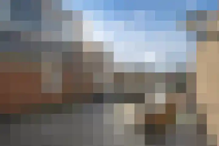 Vierloper 1 Den Haag thumbnail 4