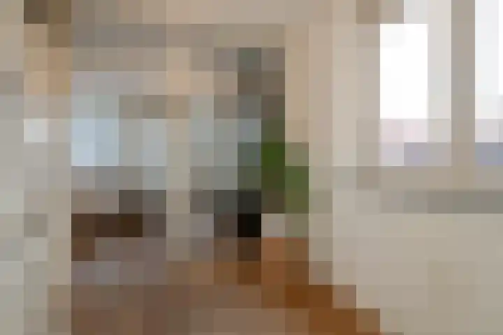 Vierloper 1 Den Haag thumbnail 5