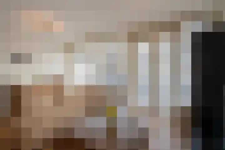 Vierloper 1 Den Haag thumbnail 6
