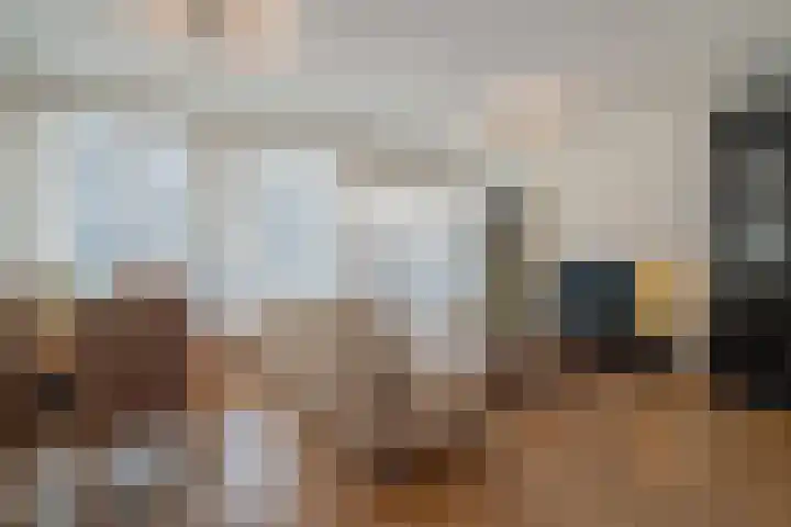 Vierloper 1 Den Haag thumbnail 7