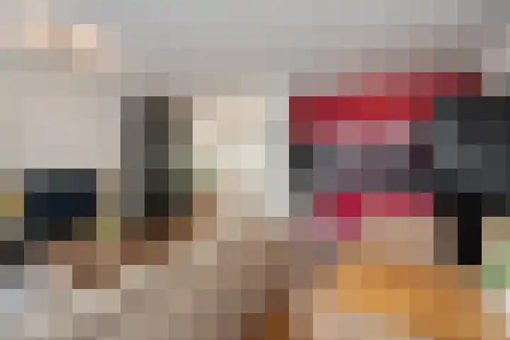 Vierloper 1 Den Haag thumbnail 8